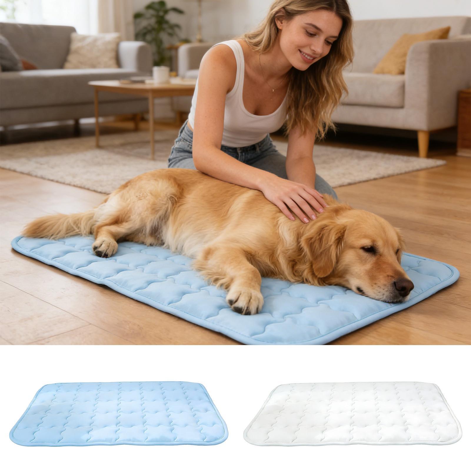 Hundekühlmatte Waschbar Tragba – Outdoor Camping Dog Bed Bewertung und Preis